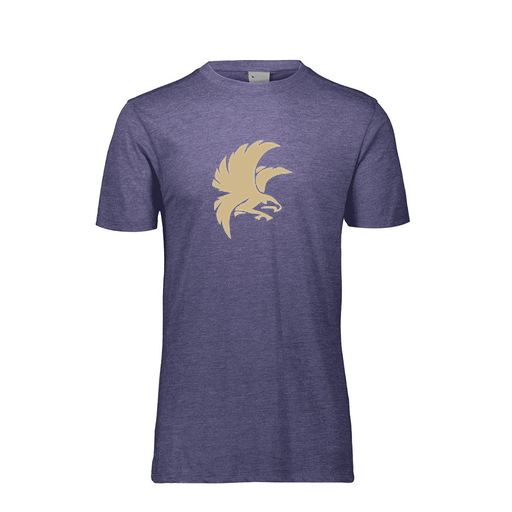 [FTSCUBRY-AS-LOGO2] Decker Men's Tri-Blend T-Shirt - Short Sleeve (Adult S, Royal, Logo 2)