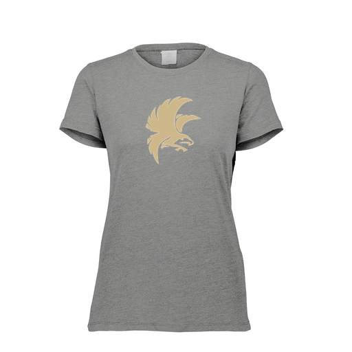 [FTSCUBGY-FAXS-LOGO2] Decker Women's Tri-Blend T-Shirt - Short Sleeve (Female Adult XS, Gray, Logo 2)